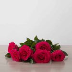 Full Monty Roses