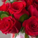 Valentine's Lush Life