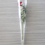 Individual Long Stem Roses