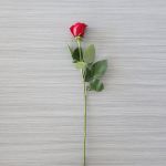 test abc