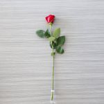 test abc