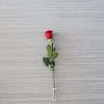 test abc