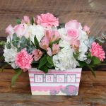 Darling Baby Collection