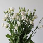 White Lisianthus by the bunch