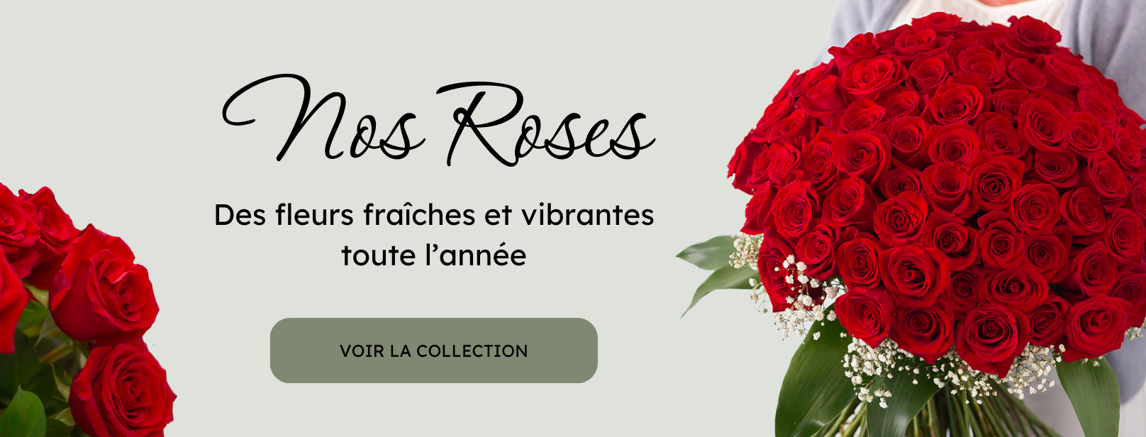 Nos Roses Desktop lebouquet mtl