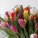 Canadian Tulip Garden