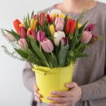 Canadian Tulip Garden