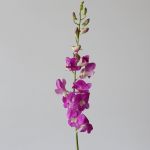 Pink Dendobrium Orchids (Bulk DIY)
