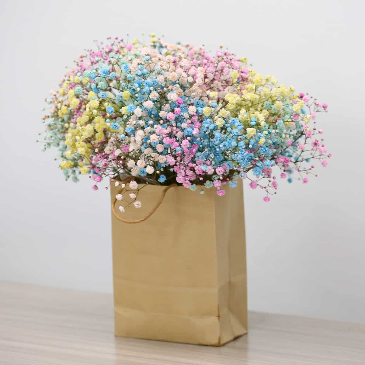 Cotton Candy Cloud – Pastel Rainbow Gypsophila Bouquet in Kraft Bag