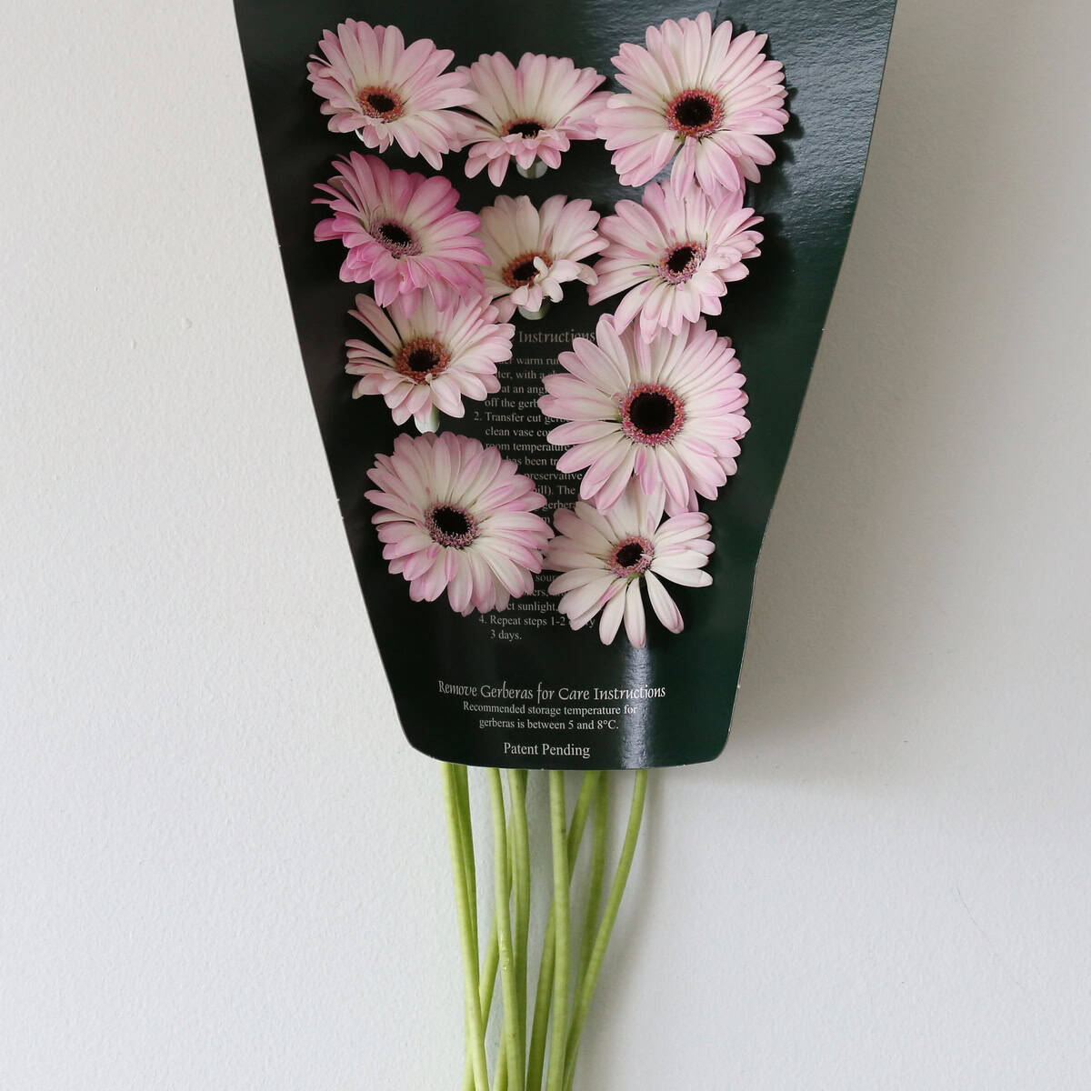 Mini Gerbera Lollipop