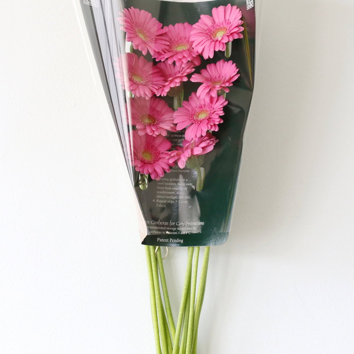 Mini Gerbera Sympathy