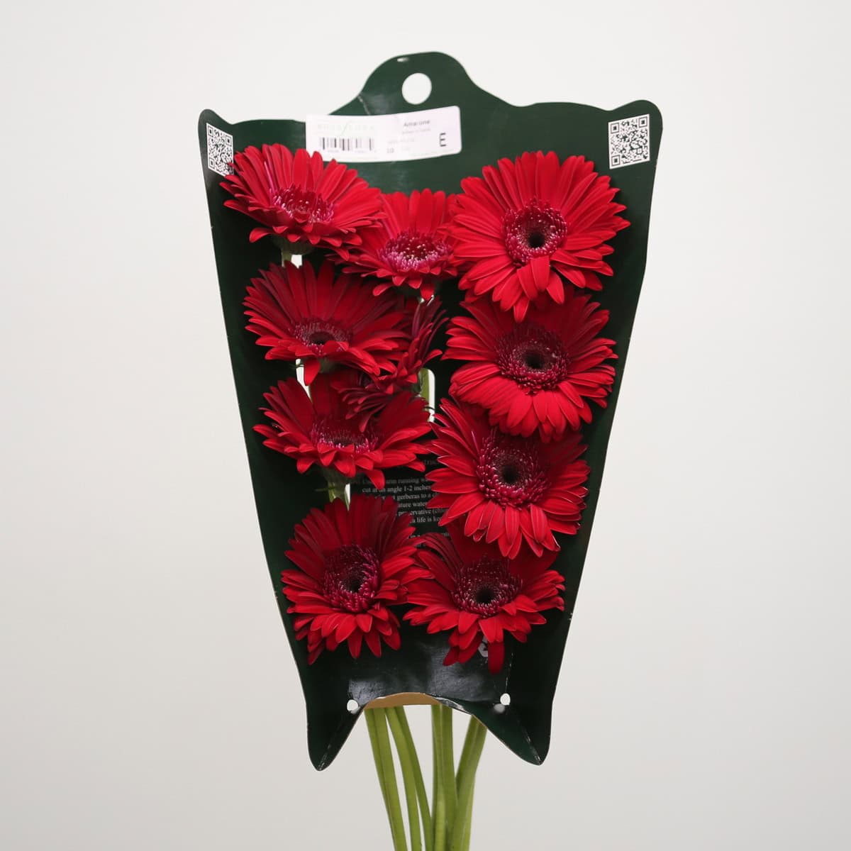 Gerbera Amarone – Bulk DIY Flowers
