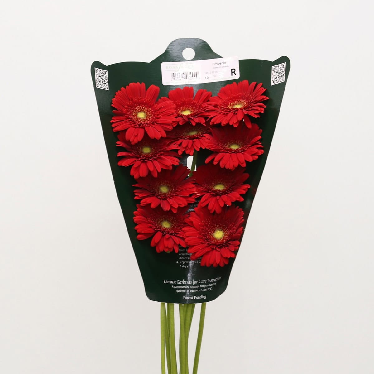Mini Gerbera Phoenix Bulk DIY Flowers