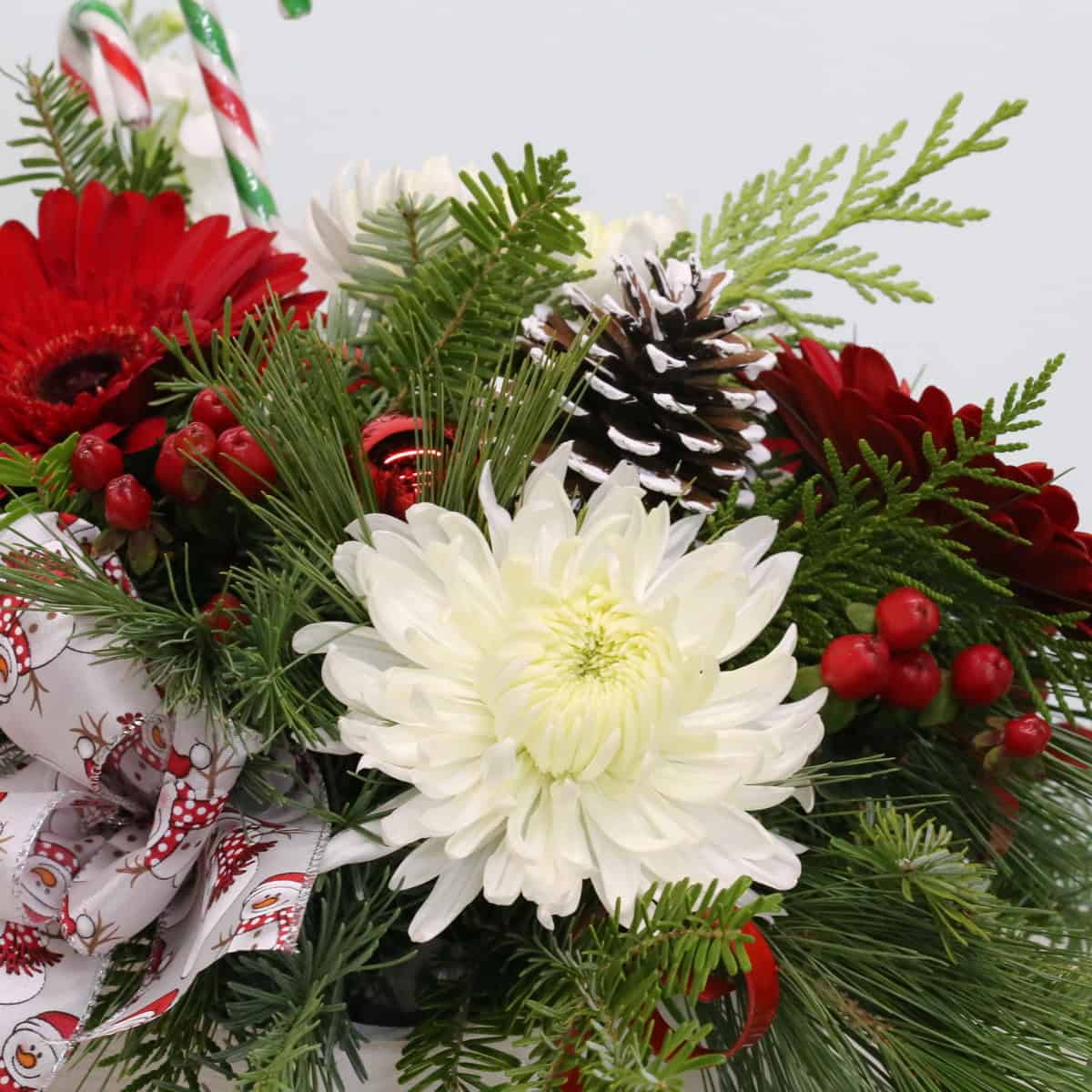 Holiday Sleigh Surprise hover