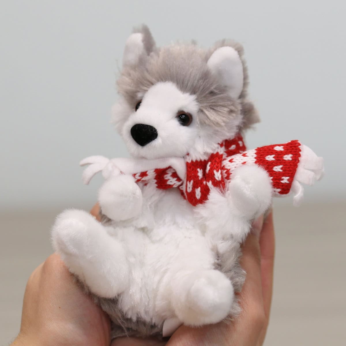 Petit Husky des Fêtes