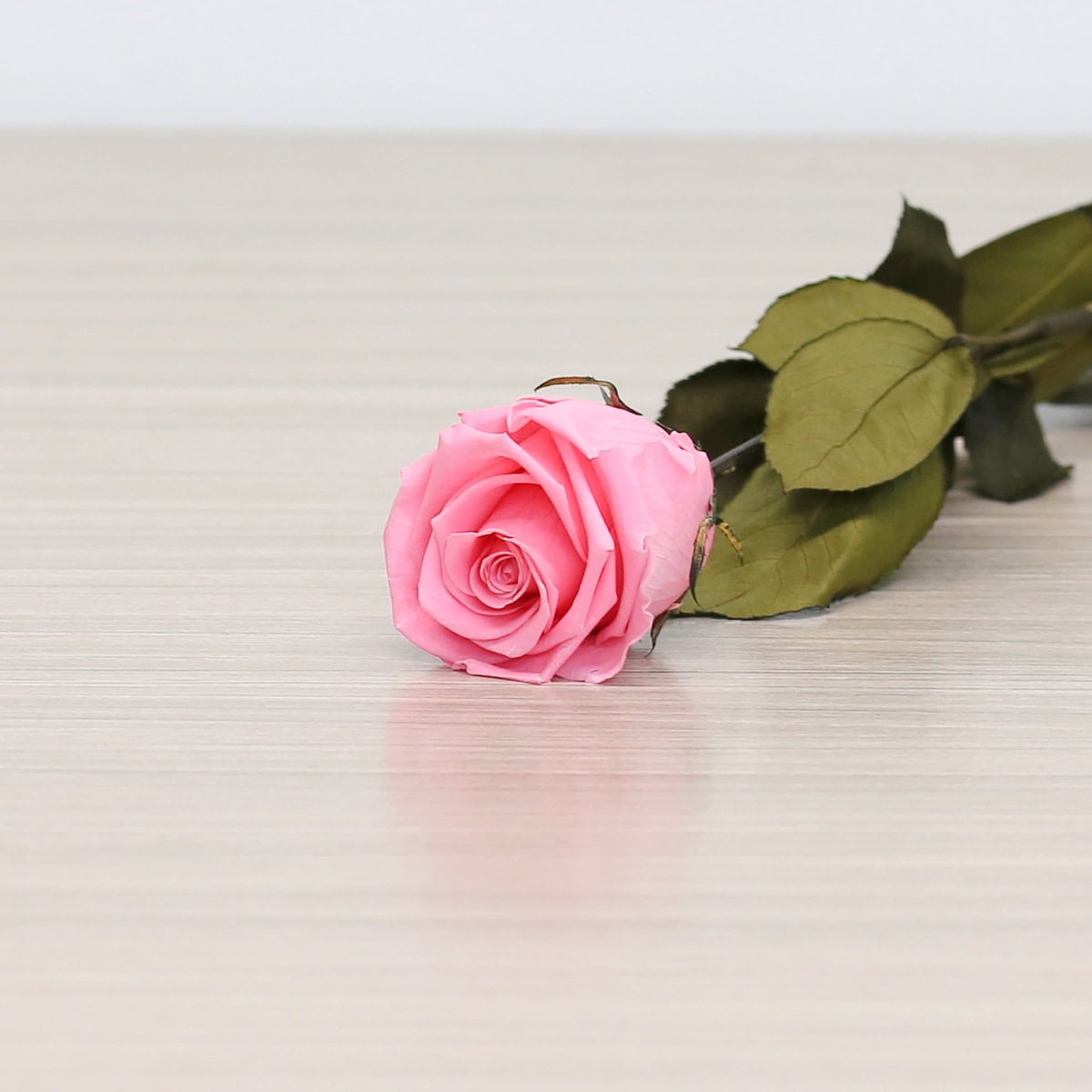 Long Stem Eternal Roses – 20 Inch Preserved Roses in Red, Pink & Blue