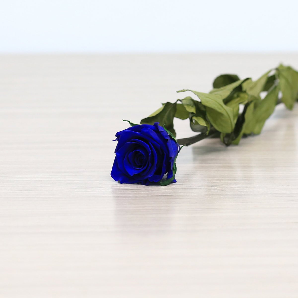Long Stem Eternal Roses – 20 Inch Preserved Roses in Red, Pink & Blue
