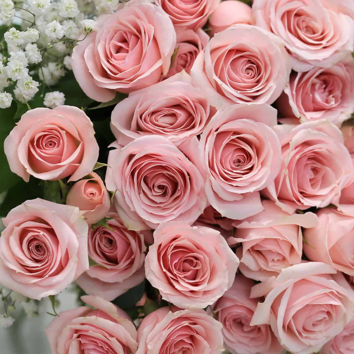 Aurora Bouquet hover