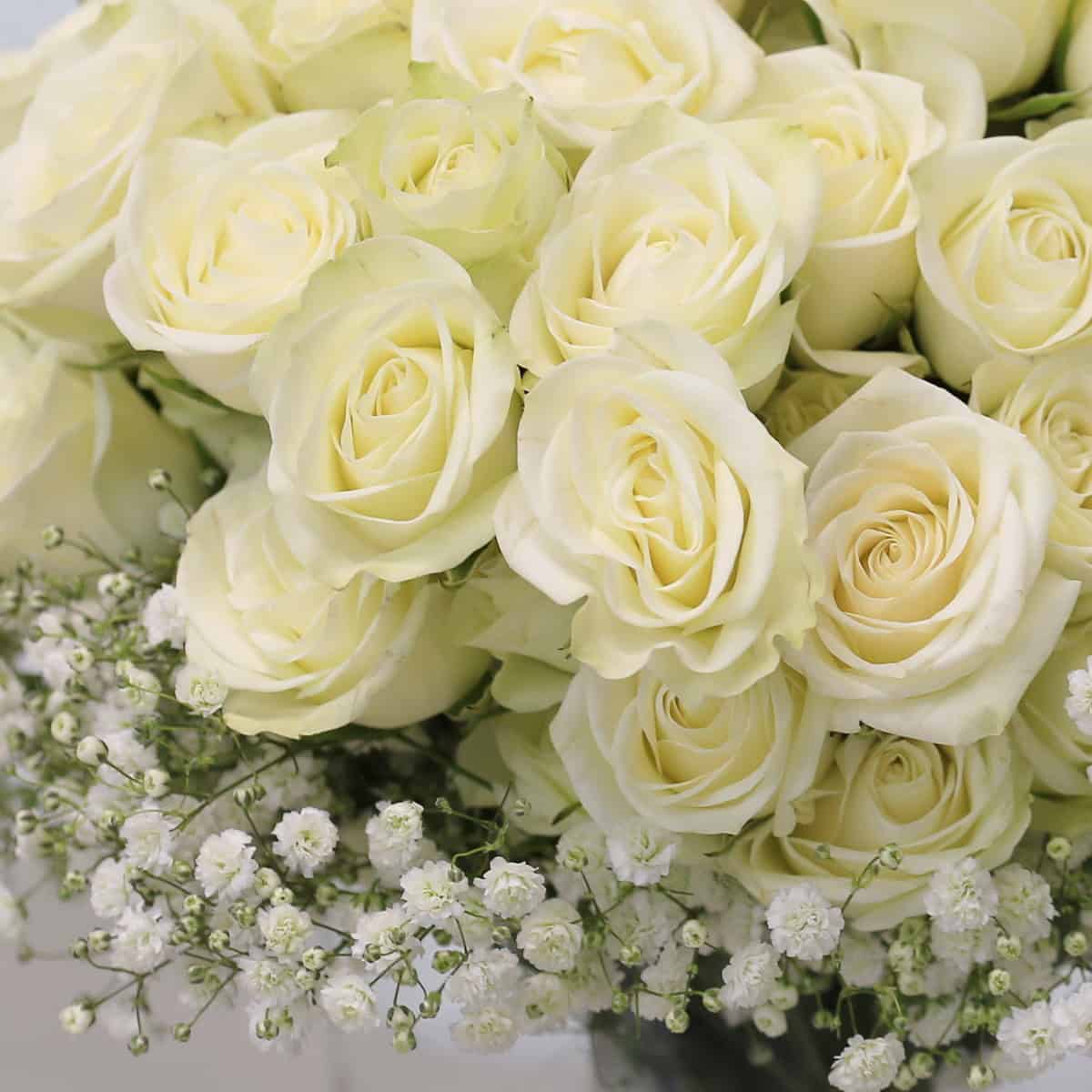 White spray roses bouquet with baby's breath in round vase