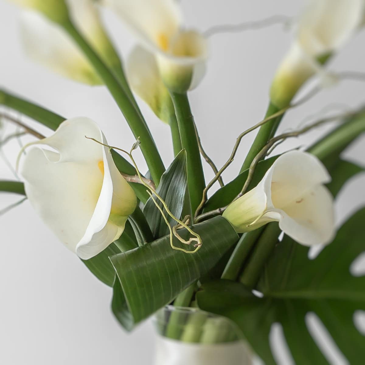 Detail of white calla lily arrangement with green leaves
