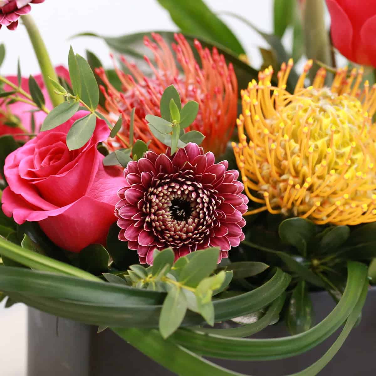 Close-up of Mango Fusion arrangement with rose, gerpoms and pincushion protea