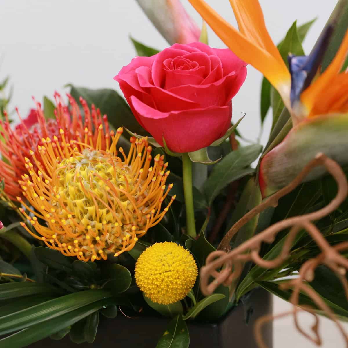 Close-up of pink rose and pincushion protea in Mango Fusion tropical arrangement