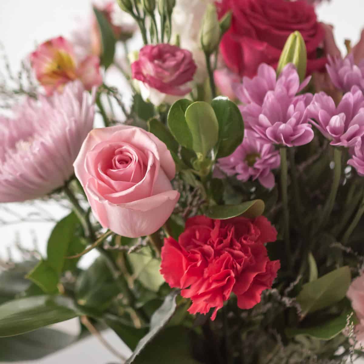 Close-up of Mother’s Day flowers with pink rose, carnation and greenery