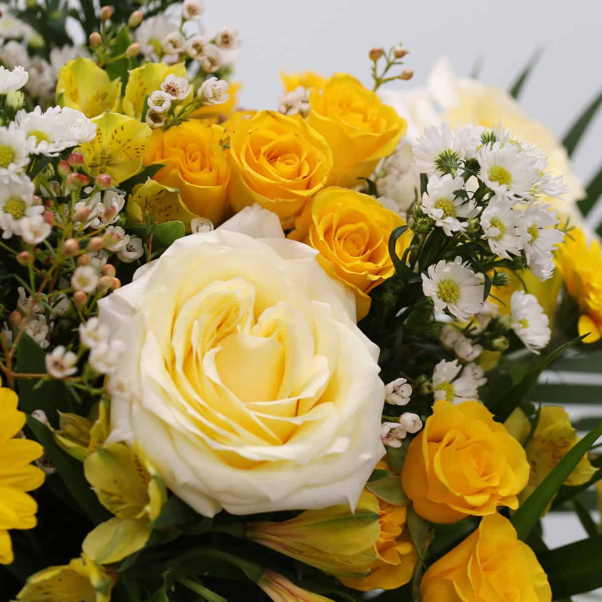 Close-up of Golden Hour bouquet with white roses, yellow spray roses, wax flower, asters, and alstroemeria.