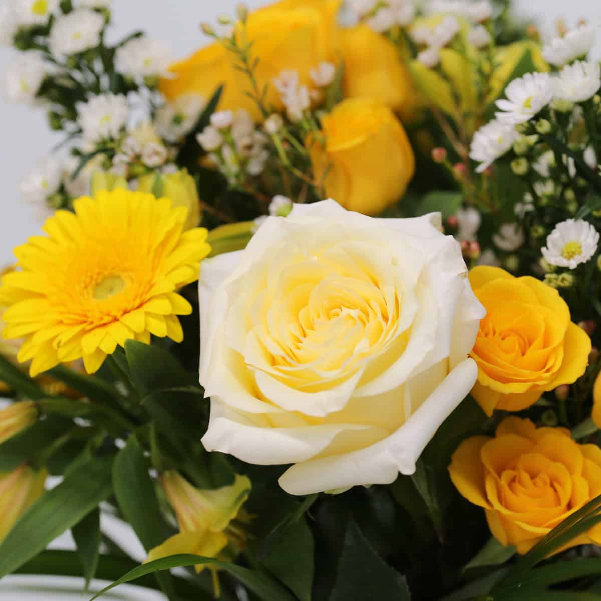 Close-up of white rose and yellow gerbera in the Golden Hour summer bouquet.