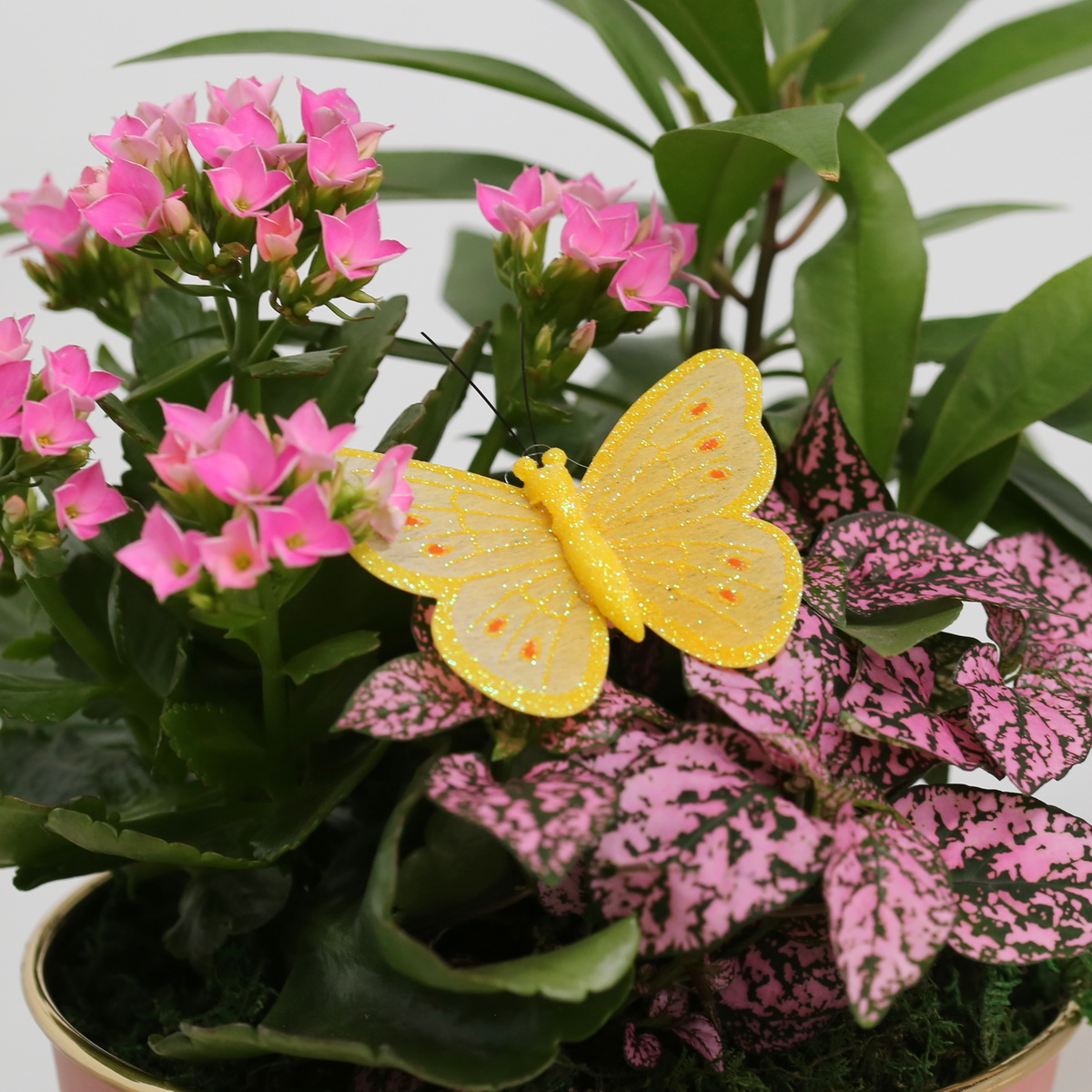 Honeysuckle Metal Planter hover
