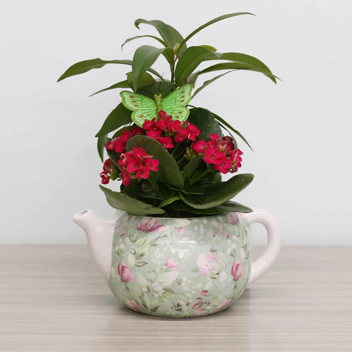 Jacquard teapot planter with pink kalanchoe flowers and butterfly decoration