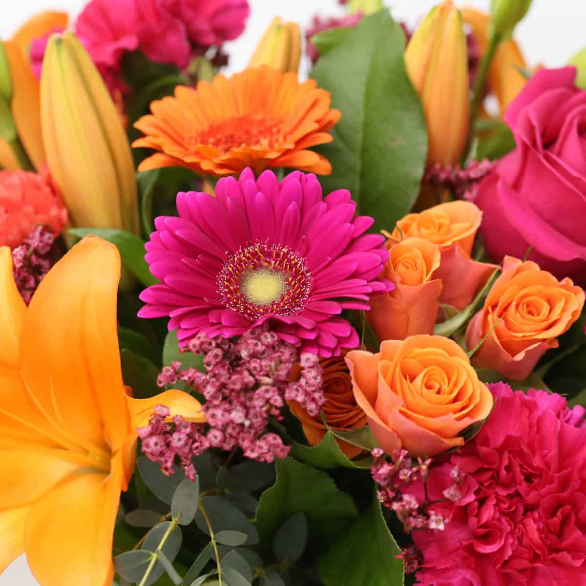 Close-up of the Tropical Sunset bouquet featuring orange lilies, hot pink gerbera daisies, roses, spray roses, and carnations.