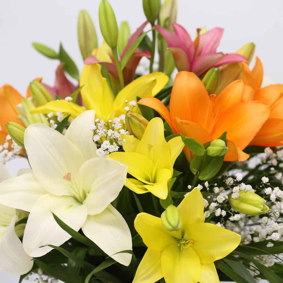 Close-up of colourful unscented Asiatic lilies in a fresh bouquet