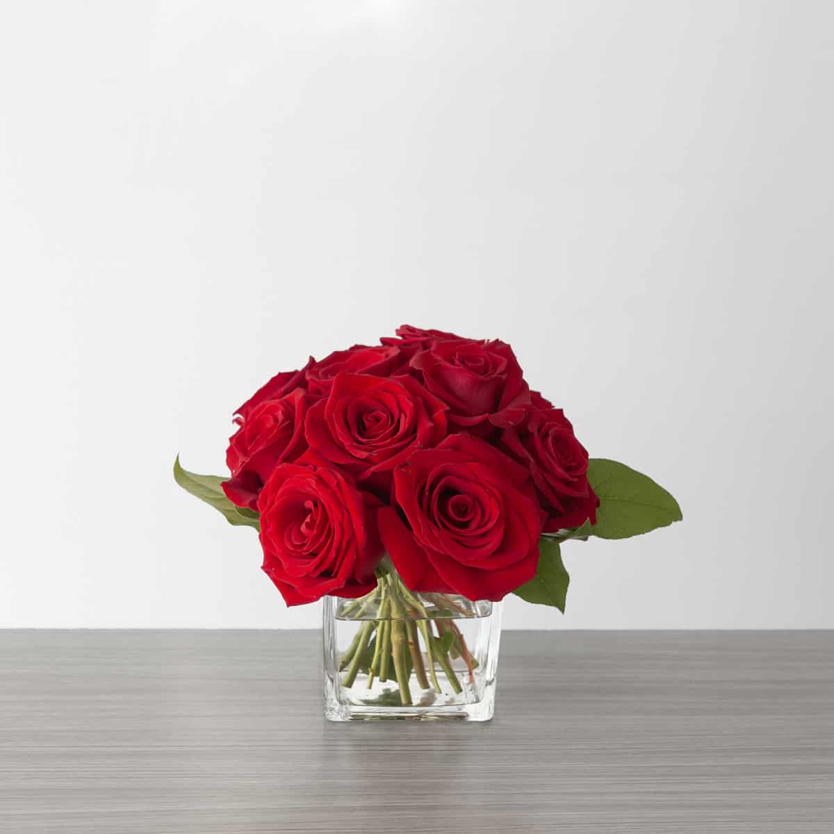 Lush Life Roses standard arrangement with 12 long stem red roses in a clear glass cube vase.