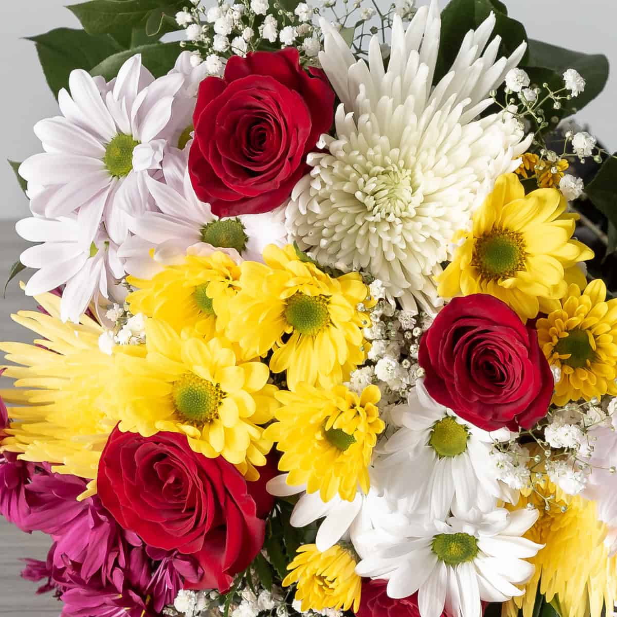 Close-up of red roses with yellow, white and pink daisies and Fuji chrysanthemums in the Hollandia Daisy Bouquet.