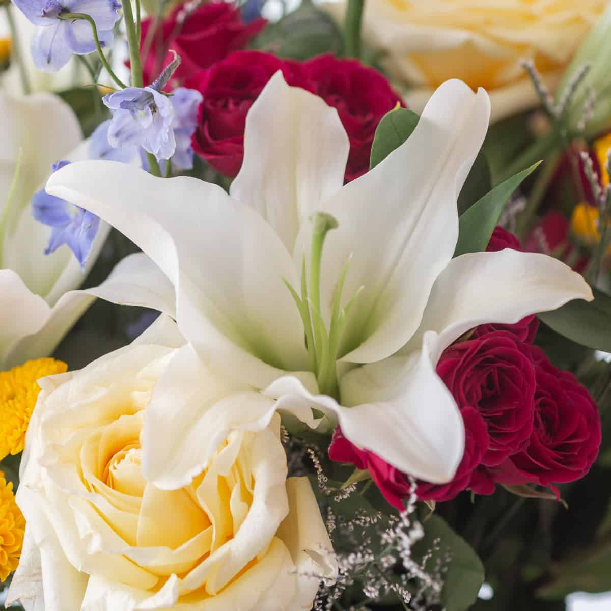 Close-up of white Oriental lilies, cream roses, fuchsia spray roses and blue delphinium in New Day Dawns