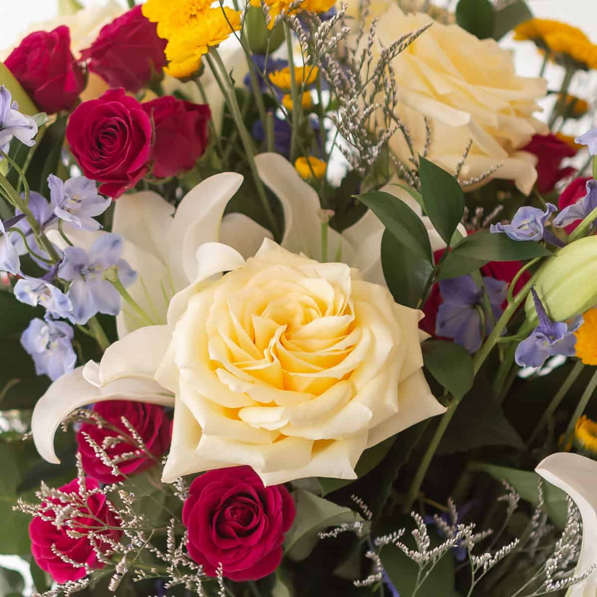 Close-up of cream roses, fuchsia spray roses and blue delphinium in the New Day Dawns arrangement