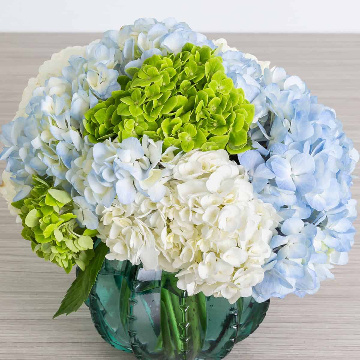 Close-up of premium blue, white and green hydrangea blooms featured in the Peridot floral arrangement.