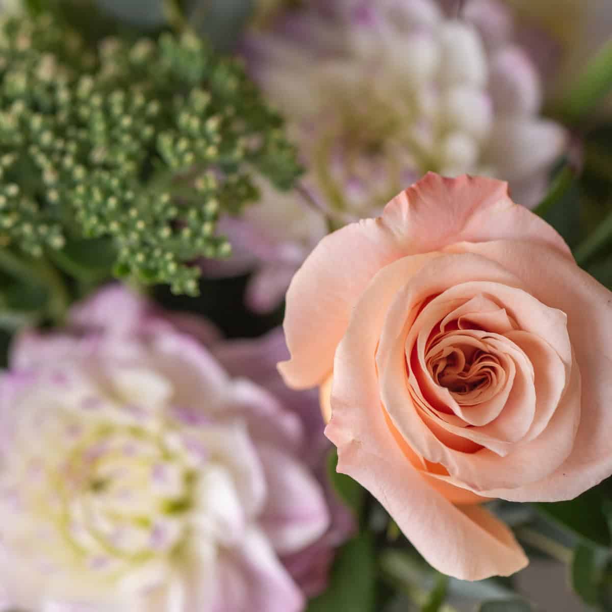 Close-up of a soft peach rose in the Posy Peach floral arrangement